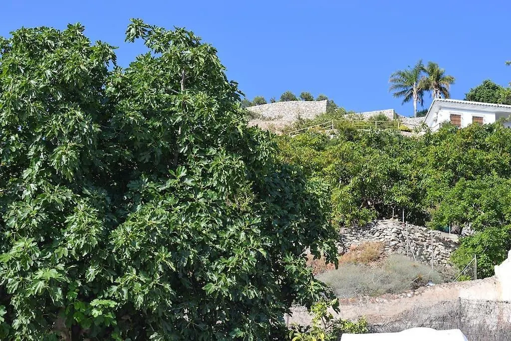 Calle Choruelo 26, Frigiliana Traditional 2 Bedroom Townhouse With Large Roof Terrace And Views Hansonholiday Rentals 度假居